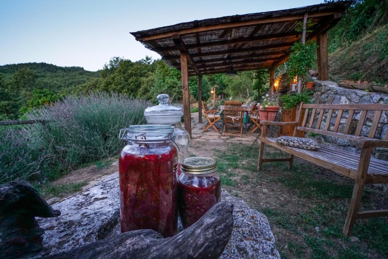 Agriturismo La Colombella 반니 산 필리포 외부 사진