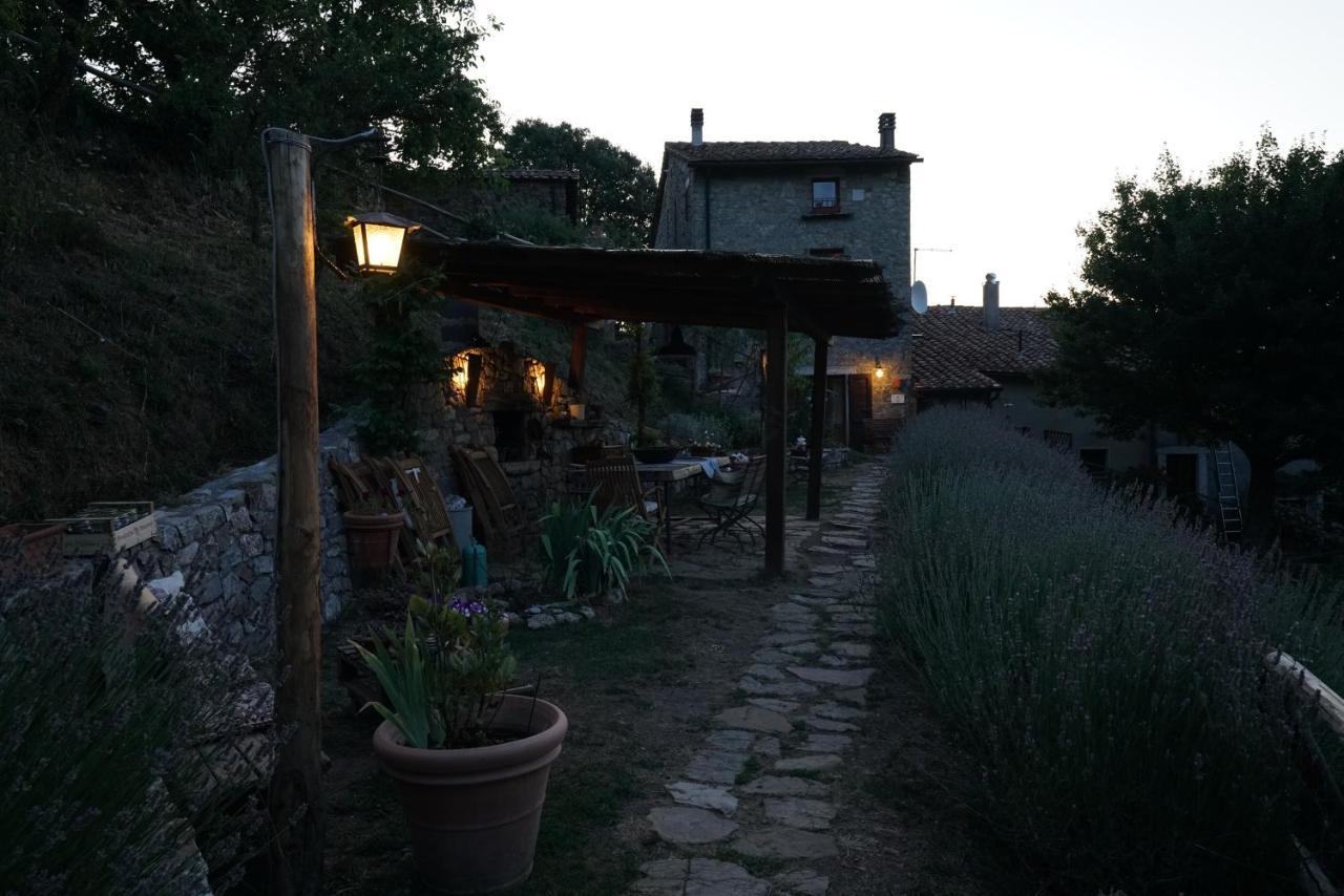 Agriturismo La Colombella 반니 산 필리포 외부 사진
