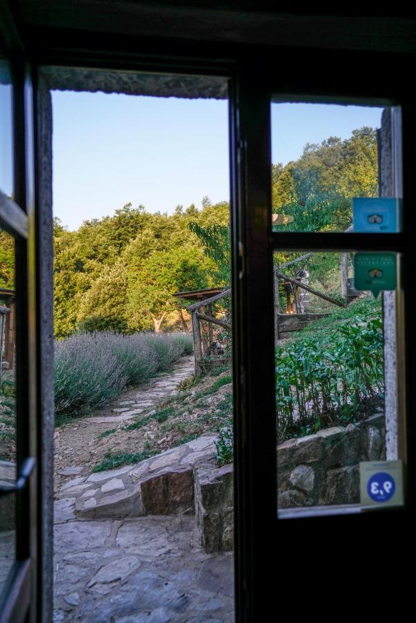 Agriturismo La Colombella 반니 산 필리포 외부 사진