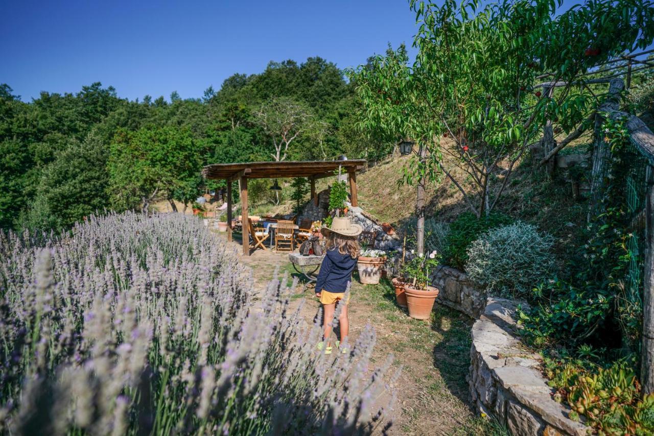 Agriturismo La Colombella 반니 산 필리포 외부 사진