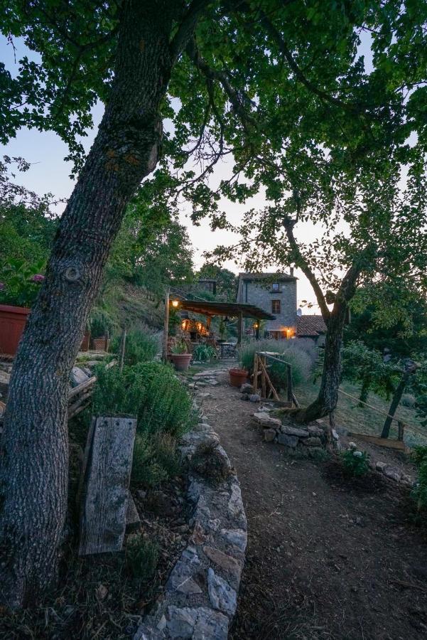 Agriturismo La Colombella 반니 산 필리포 외부 사진
