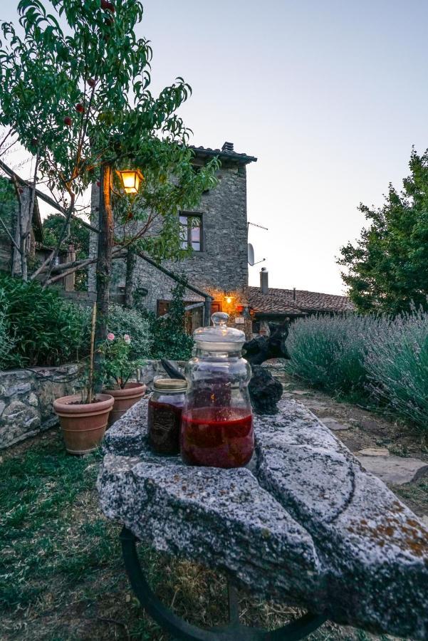 Agriturismo La Colombella 반니 산 필리포 외부 사진