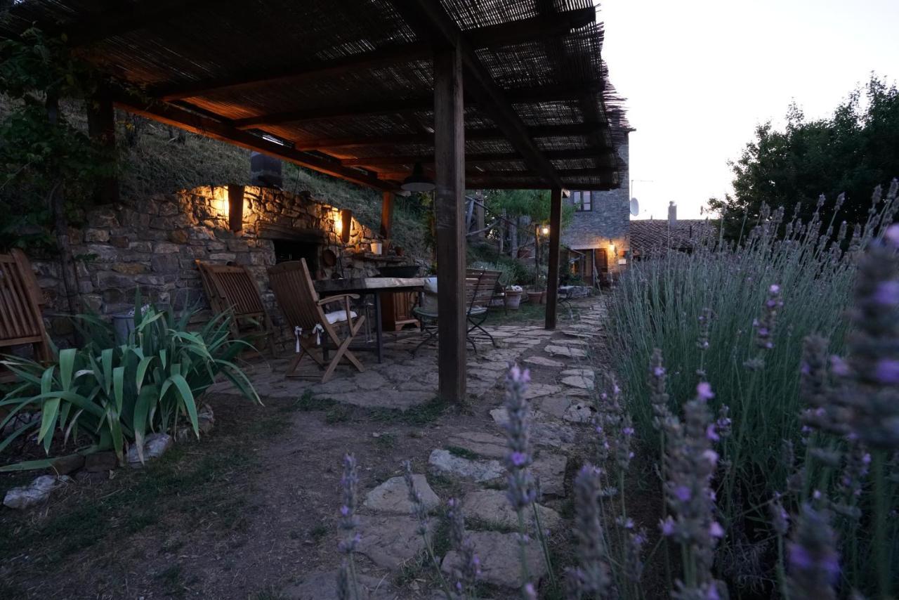Agriturismo La Colombella 반니 산 필리포 외부 사진
