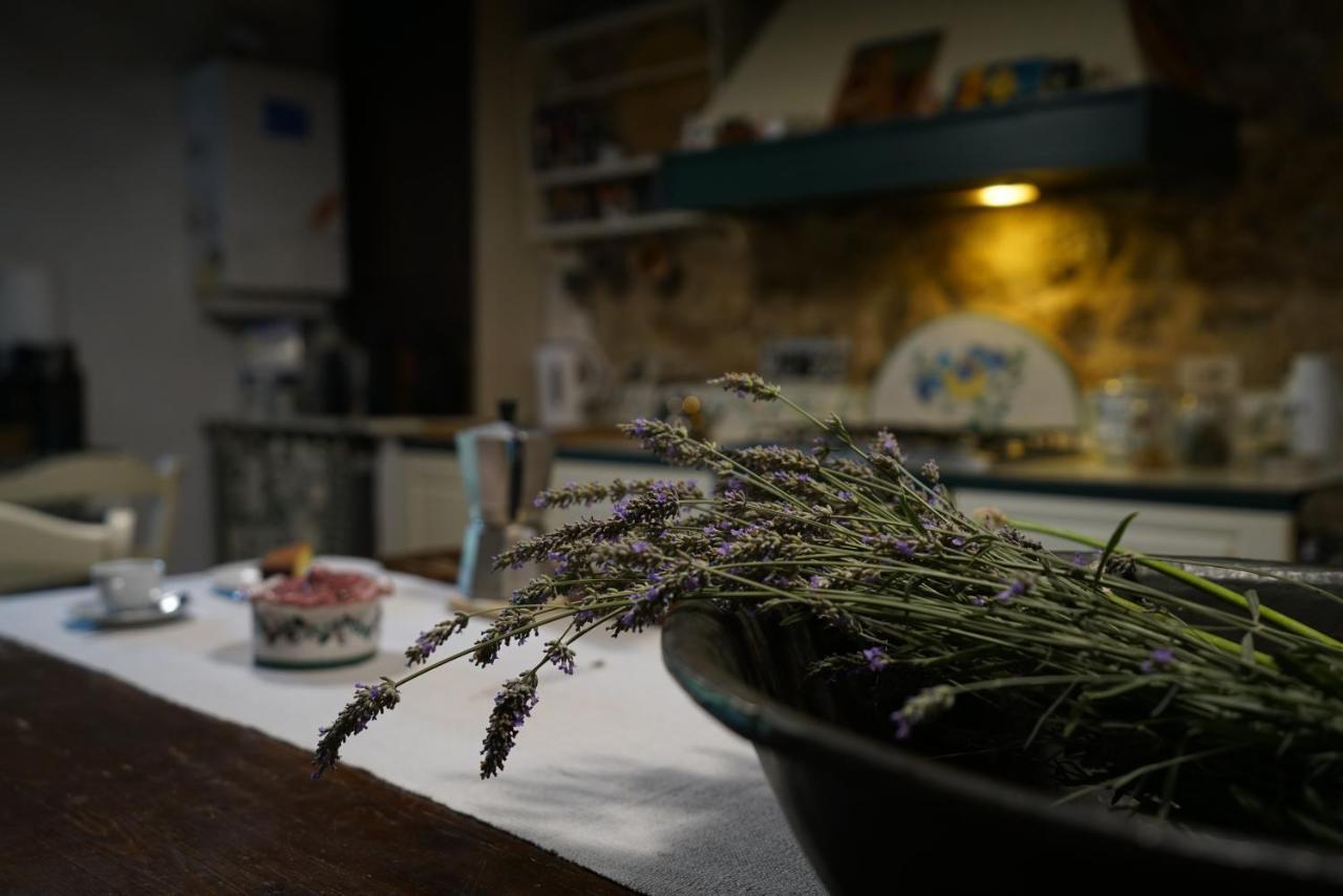 Agriturismo La Colombella 반니 산 필리포 외부 사진